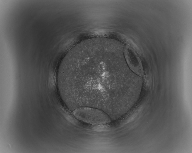 X0000111140593200907071050