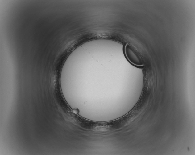 X0000111140595200907071050