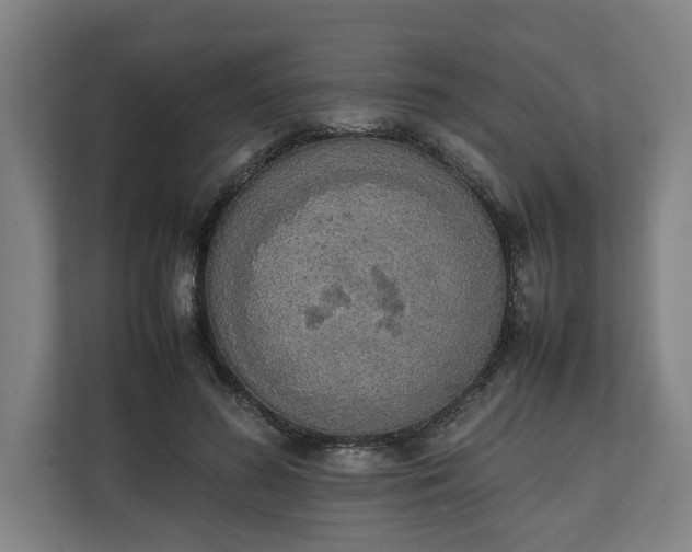 X0000111140596200907071050