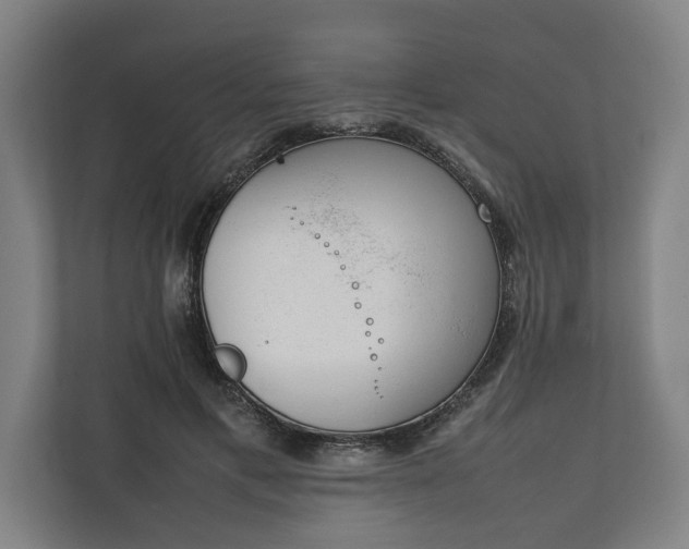 X0000111140597200907071050