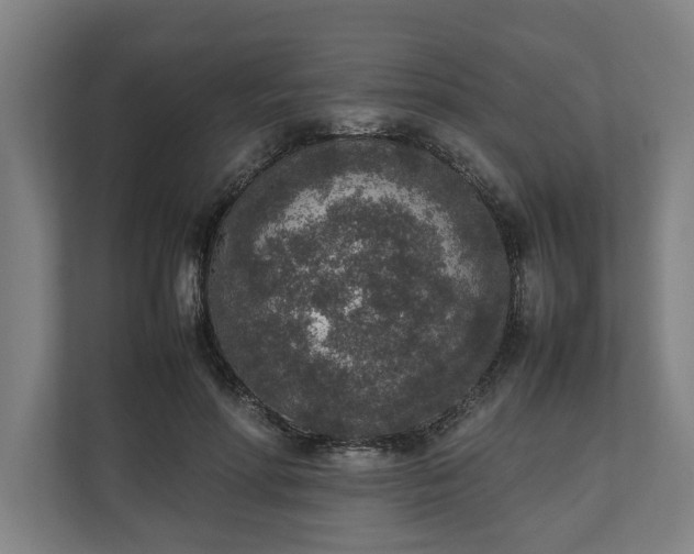 X0000111140598200907071050