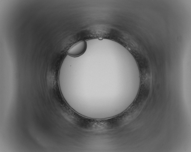 X0000111140599200907071050