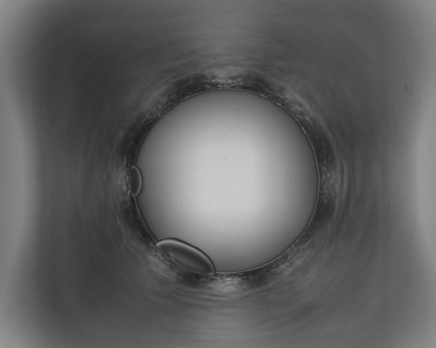 X0000111140609200907071050