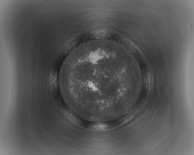 X0000111140610200907071050