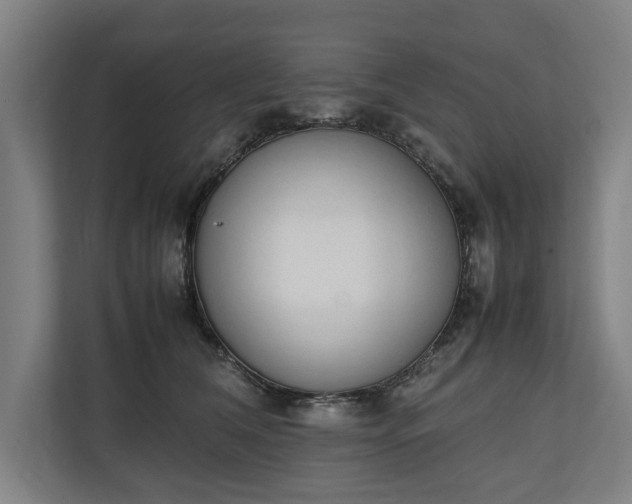 X0000111140612200907071050