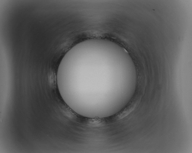 X0000111140624200907071050