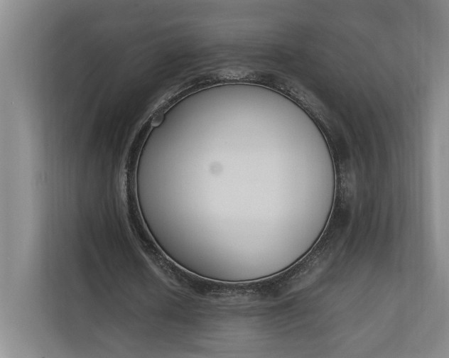 X0000111140626200907071049