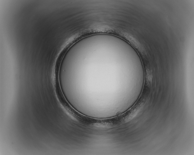 X0000111140630200907071049