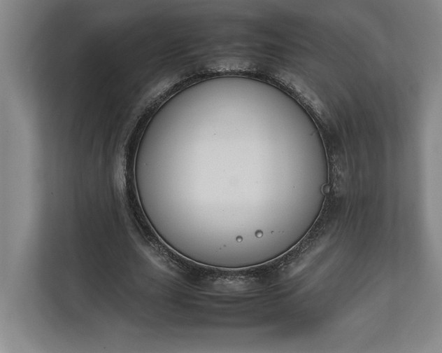 X0000111140631200907071049