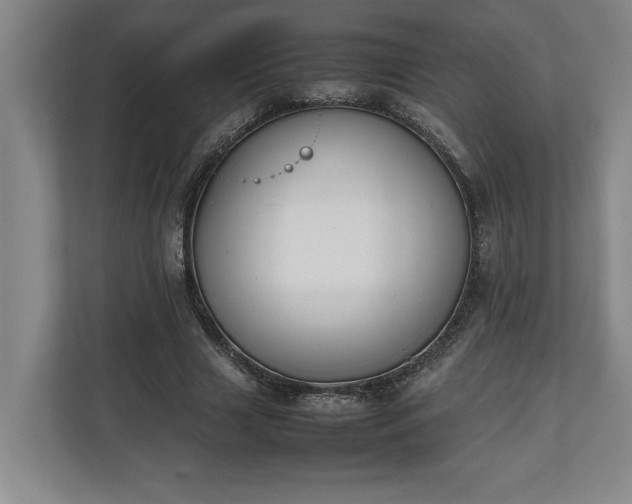 X0000111140633200907071049