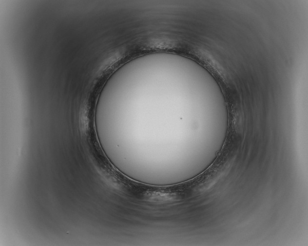 X0000111140635200907071049