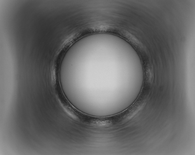 X0000111140638200907071049