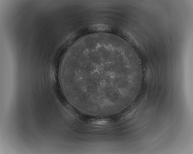 X0000111140643200907071050