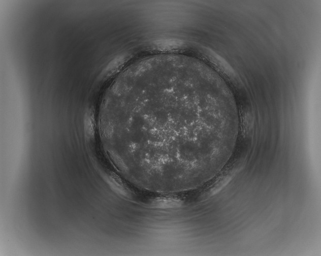 X0000111140644200907071050