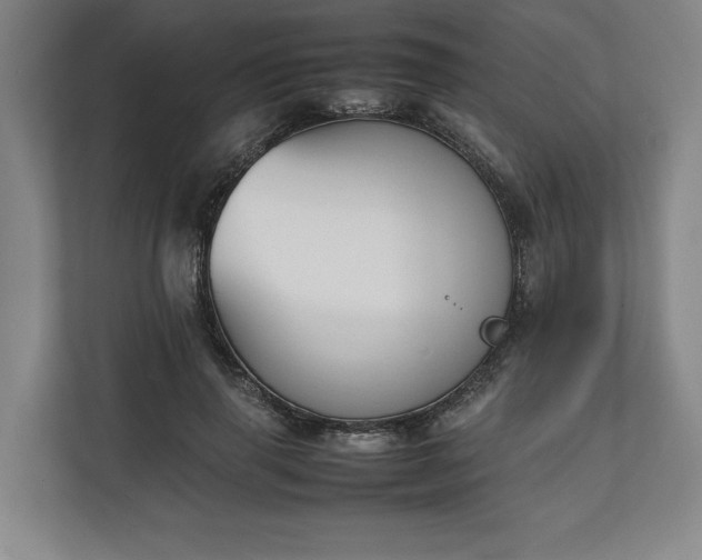 X0000111140645200907071050