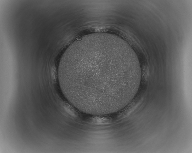 X0000111140650200907071050