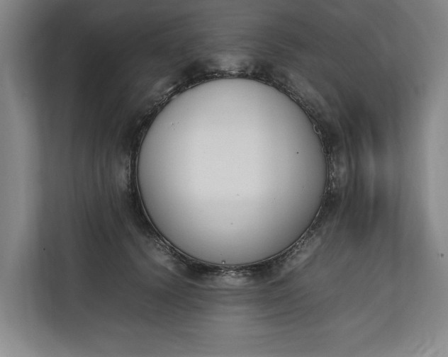 X0000111140656200907071050