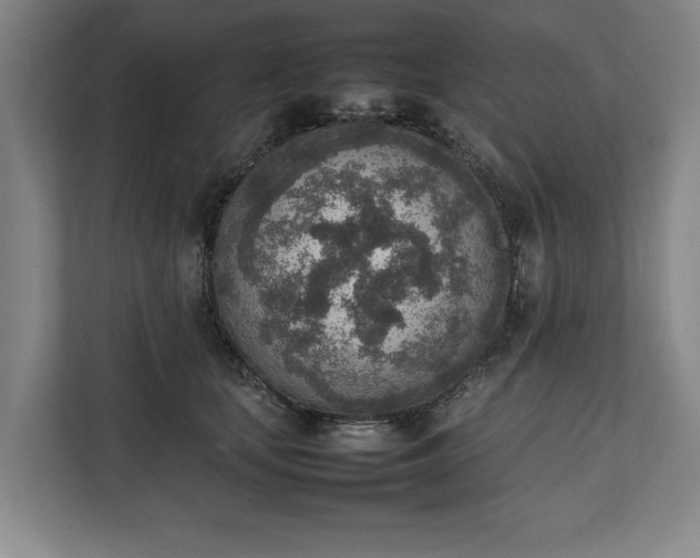 X0000111140659200907071050