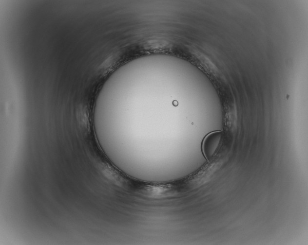 X0000111140662200907071050