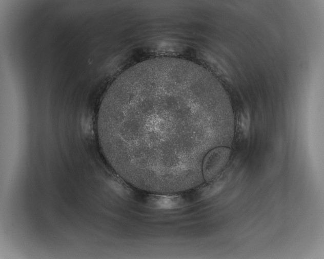 X0000111140663200907071050