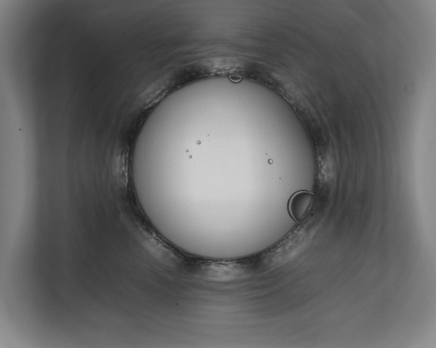 X0000111140666200907071050