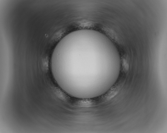 X0000111140668200907071050