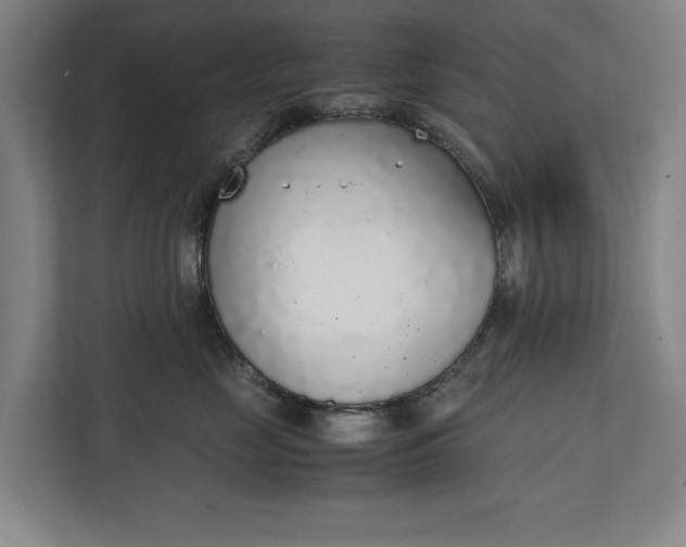 X0000111140669200907071050