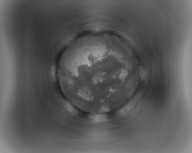 X0000111140670200907071050