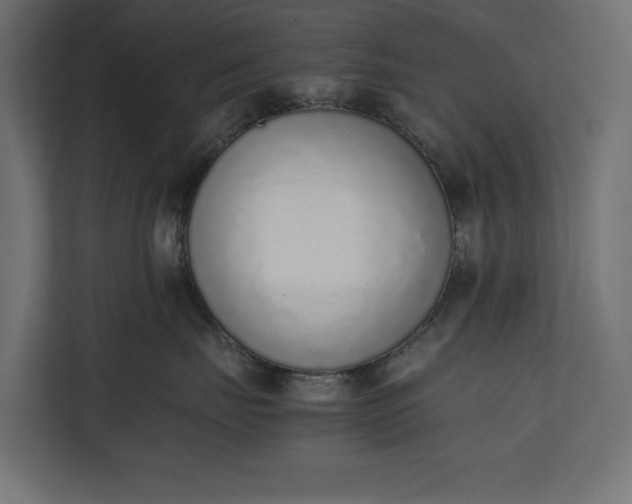 X0000111140671200907071050