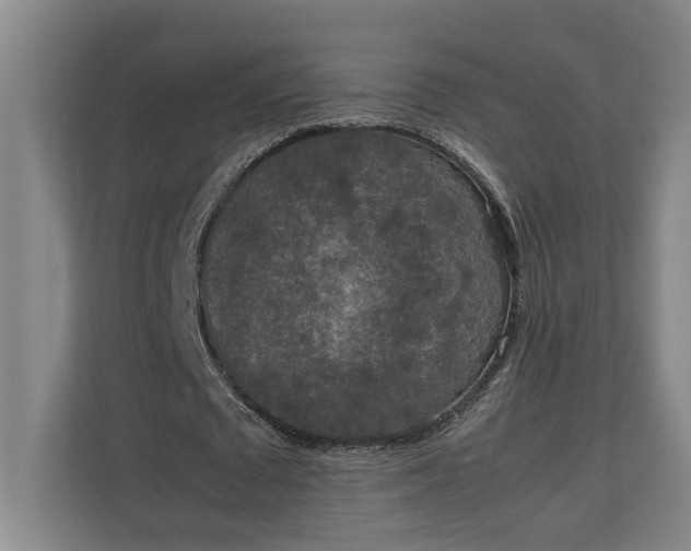 X0000111140673200907071049