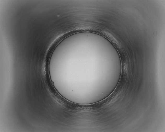 X0000111140676200907071049