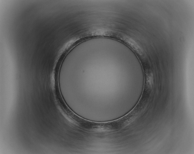 X0000111140678200907071049