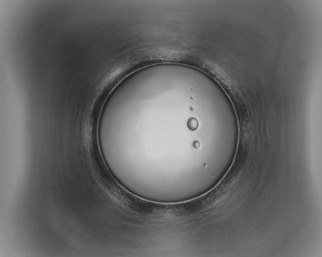 X0000111140679200907071049