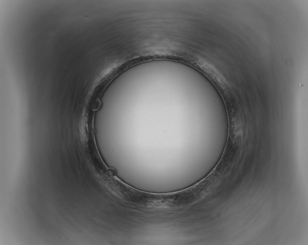 X0000111140680200907071049