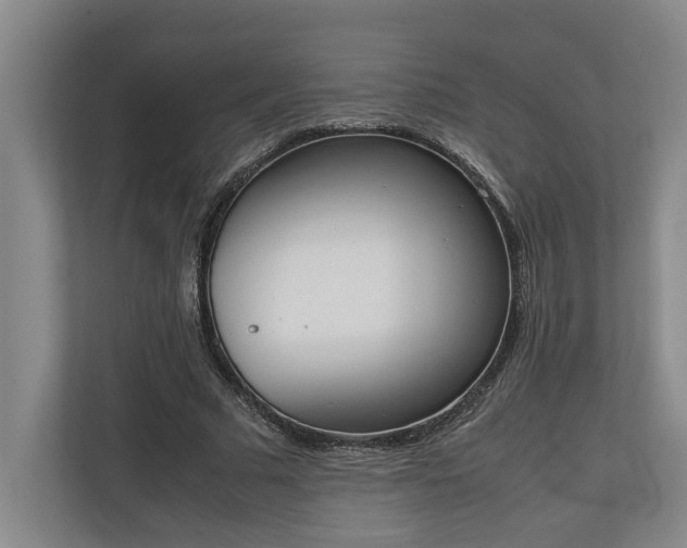 X0000111140681200907071049