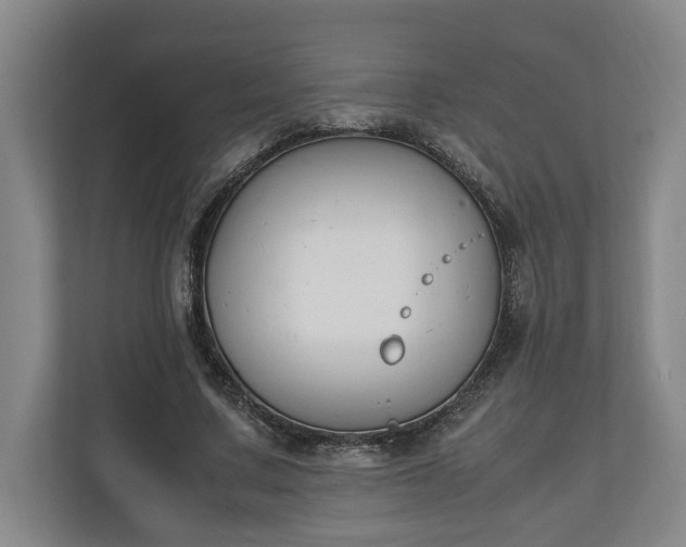 X0000111140683200907071049