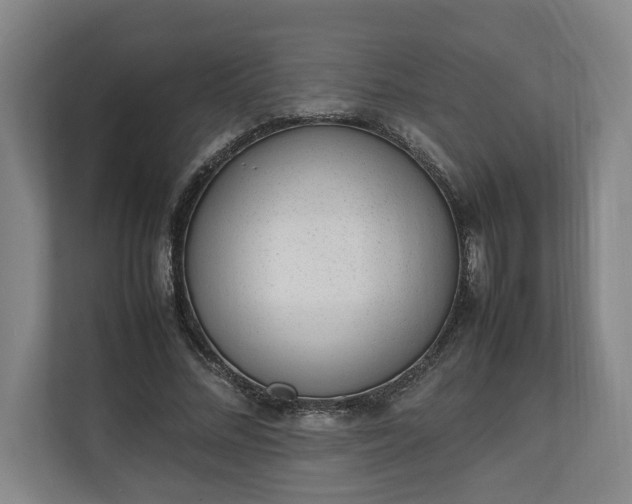 X0000111140684200907071049