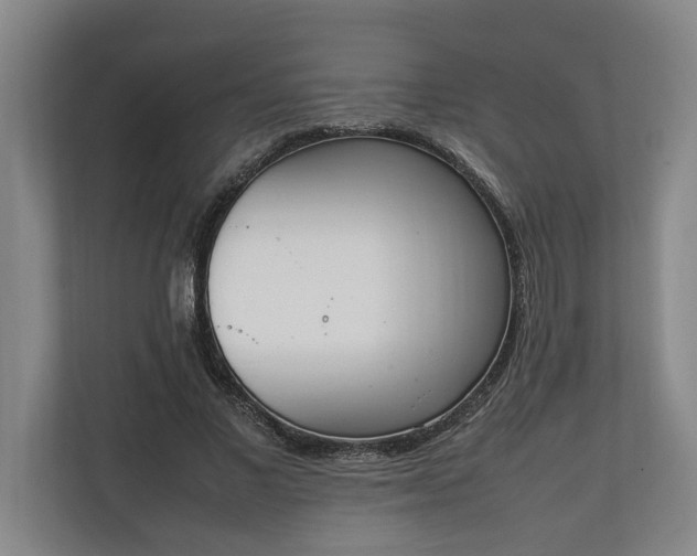 X0000111140685200907071049