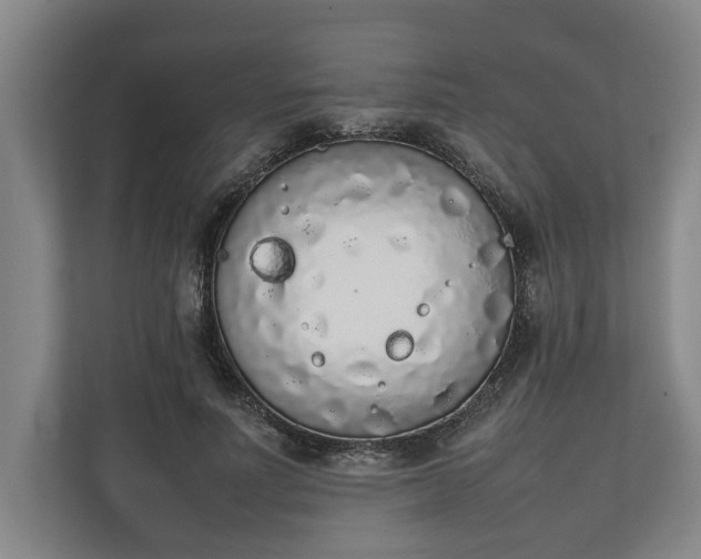 X0000111140691200907071049