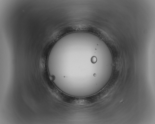 X0000111140695200907071049