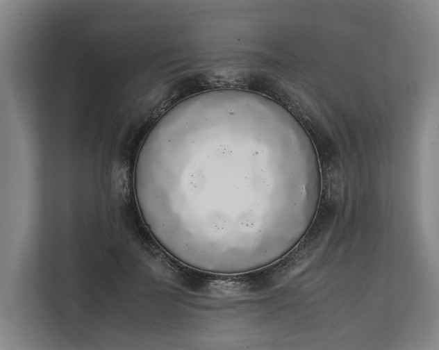 X0000111140699200907071049