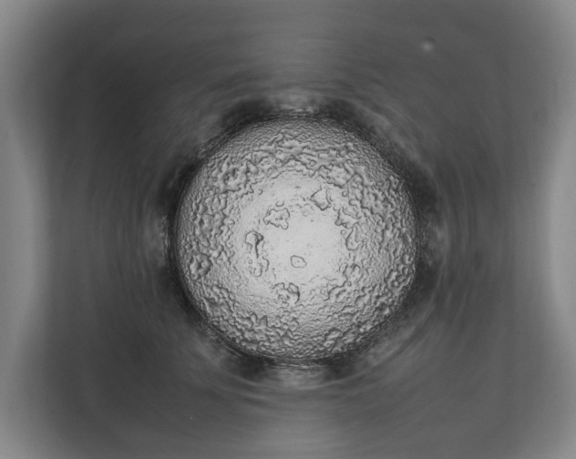 X0000111140707200907071049