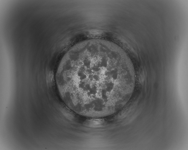 X0000111140711200907071049