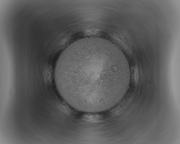 X0000111140712200907071049