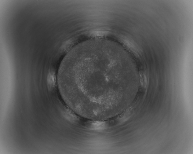 X0000111140718200907071049