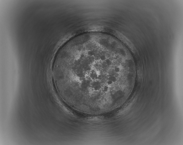 X0000111140721200907071048