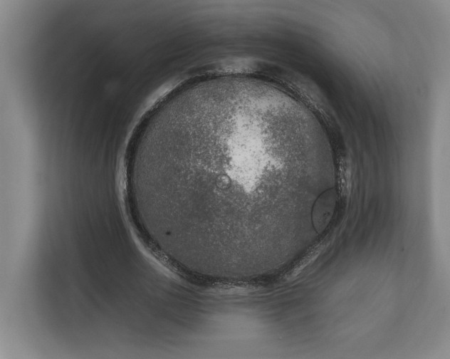 X0000111140726200907071048