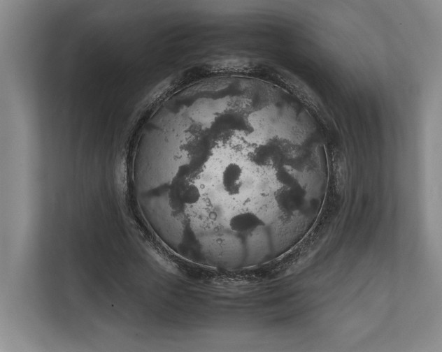 X0000111140729200907071048