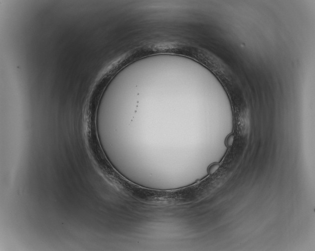 X0000111140732200907071048