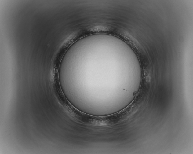 X0000111140735200907071048